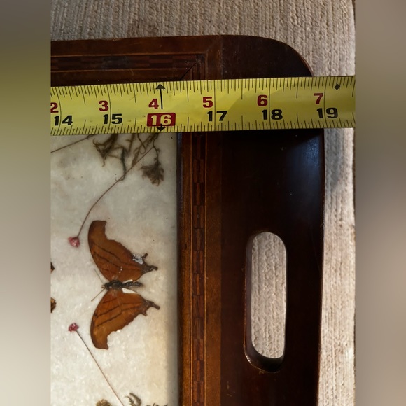 Charming tray over 100 years old Victorian butterfly shrooms fern nature core - Picture 9 of 12